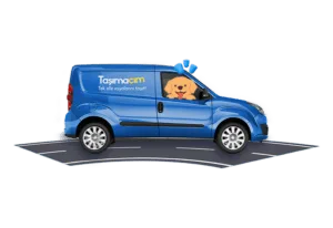 El proceso de transporte urbano con mi transportista