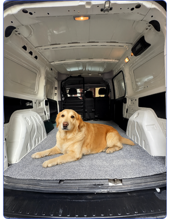 Evcil hayvanların konforunu ön planda tutan modern pet taksi taşımacılığı.