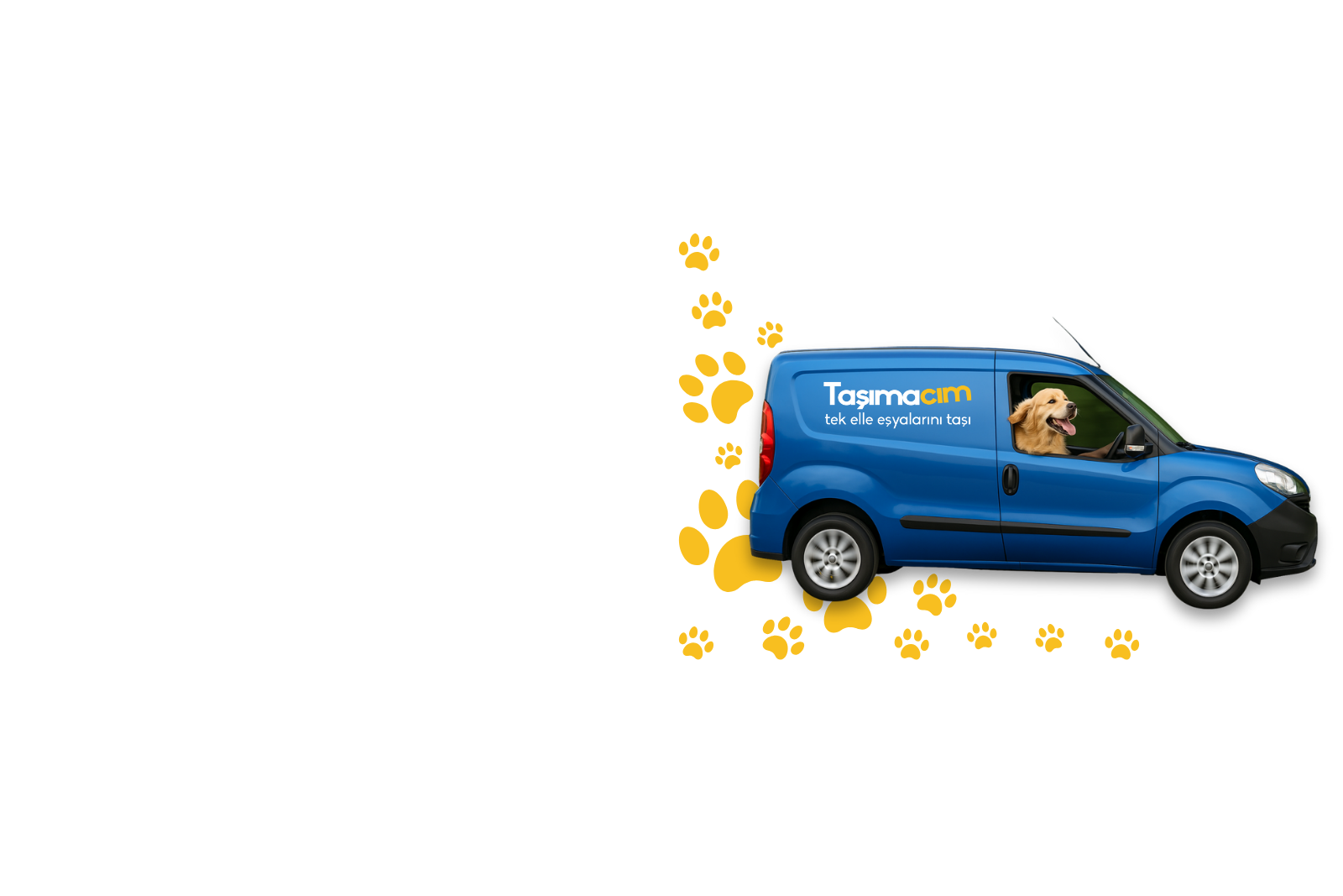 Kedi ve köpek taşımacılığı için tasarlanmış konforlu pet taksi aracı.