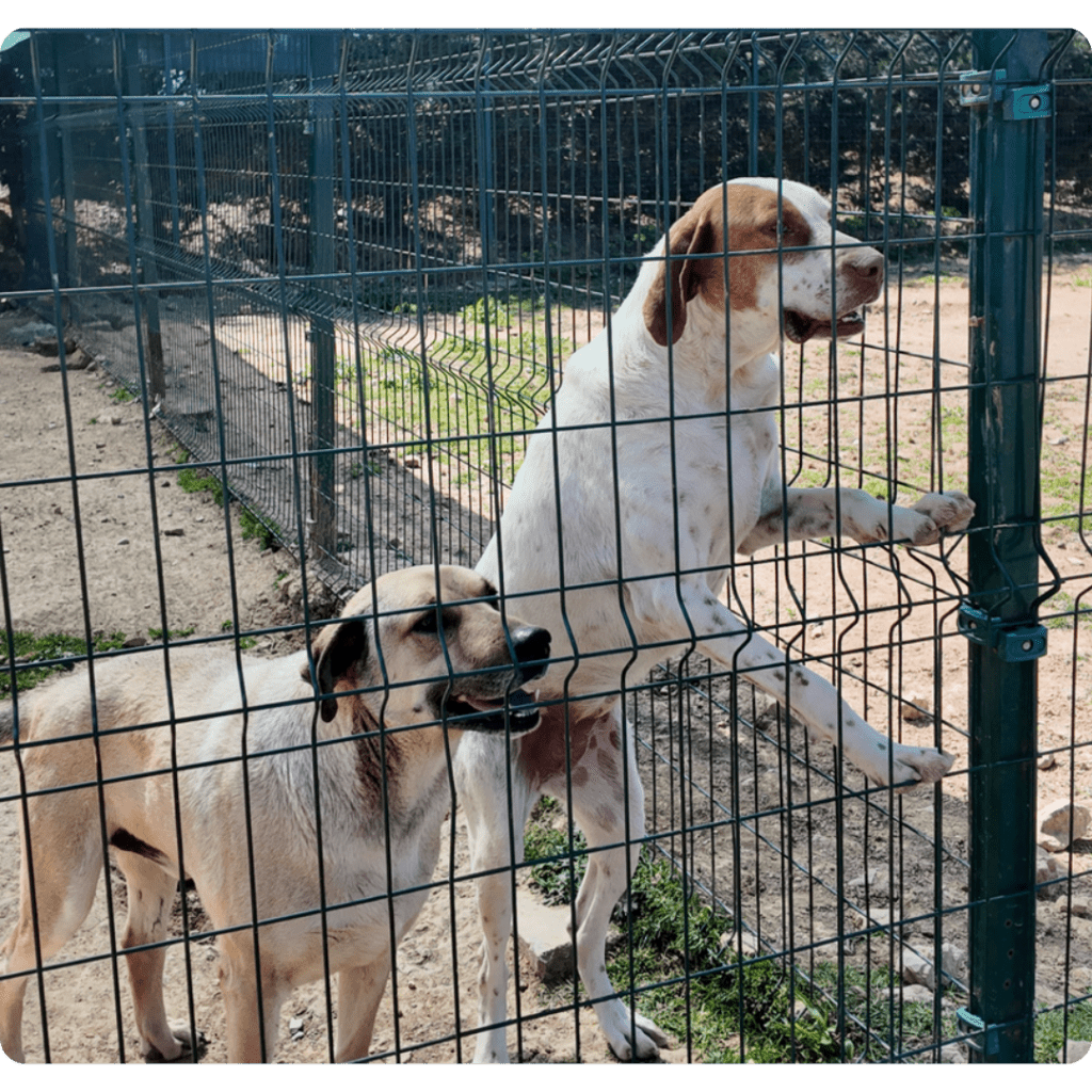 Aynı gün teslimat, parça eşya taşıma, kurye hizmeti