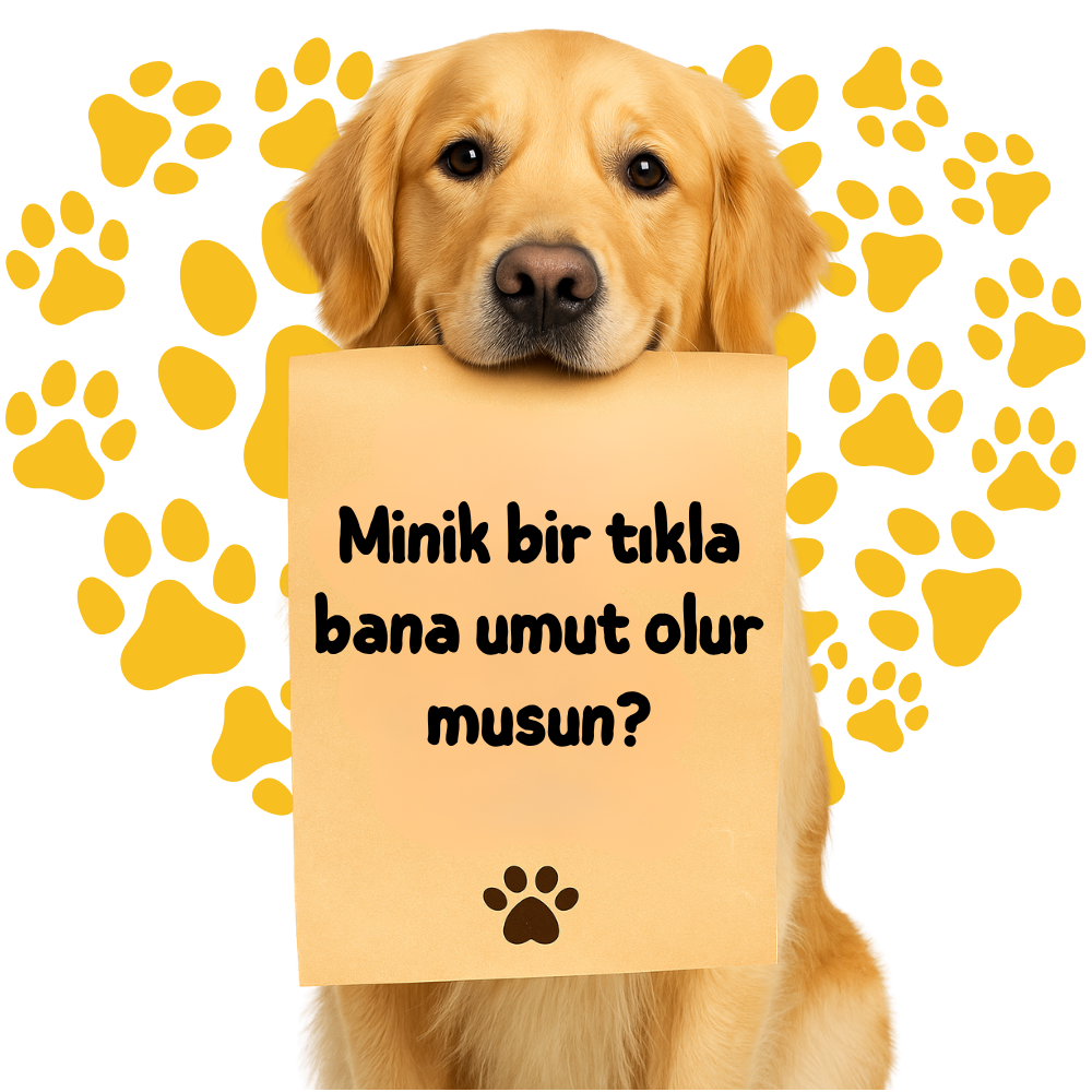 Haçiko indirimi kampanya görseli