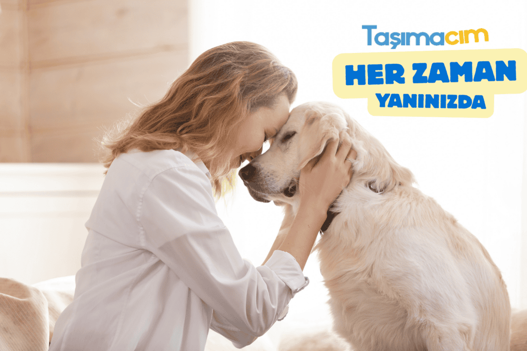 Aynı gün teslimat, parça eşya taşıma, kurye hizmeti