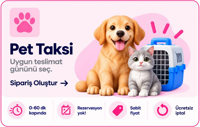 Aynı gün teslimat, parça eşya taşıma, kurye hizmeti