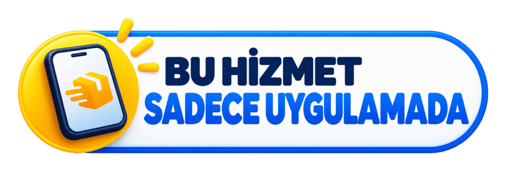 Aynı gün teslimat, parça eşya taşıma, kurye hizmeti
